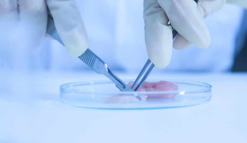 Обзор новостей и событий мясопереработки и животноводства за 16-ю неделю (16 – 21 апреля 2018 г.)