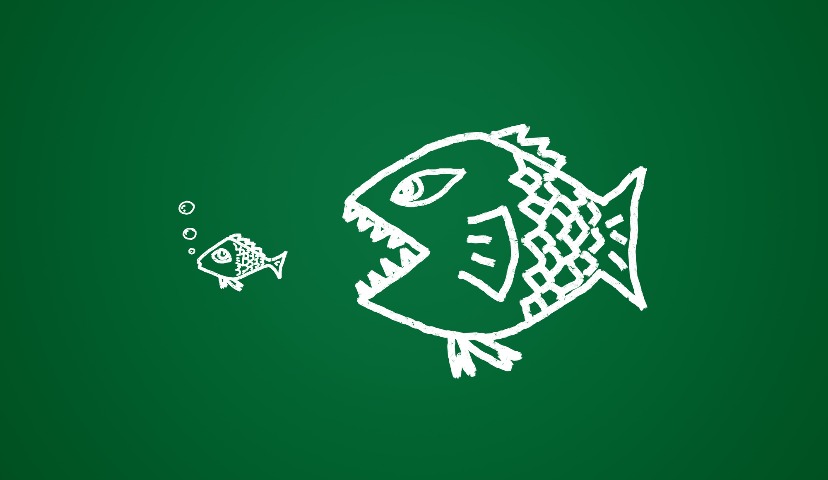 Свиноводство ждет консолидация активов и смена лидеров