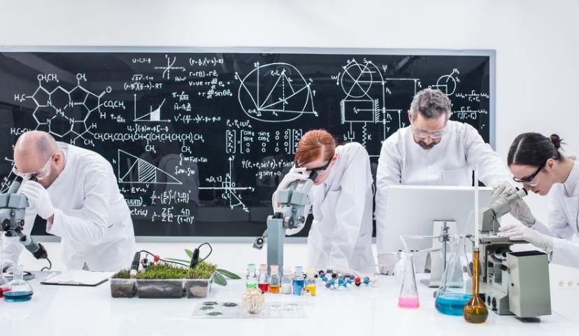 Бургеры на основе растительного белка. Подделка или нет?