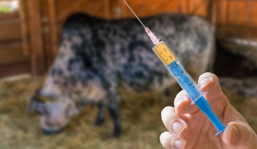 Антибиотики: чем грозит решение ЕЭК?