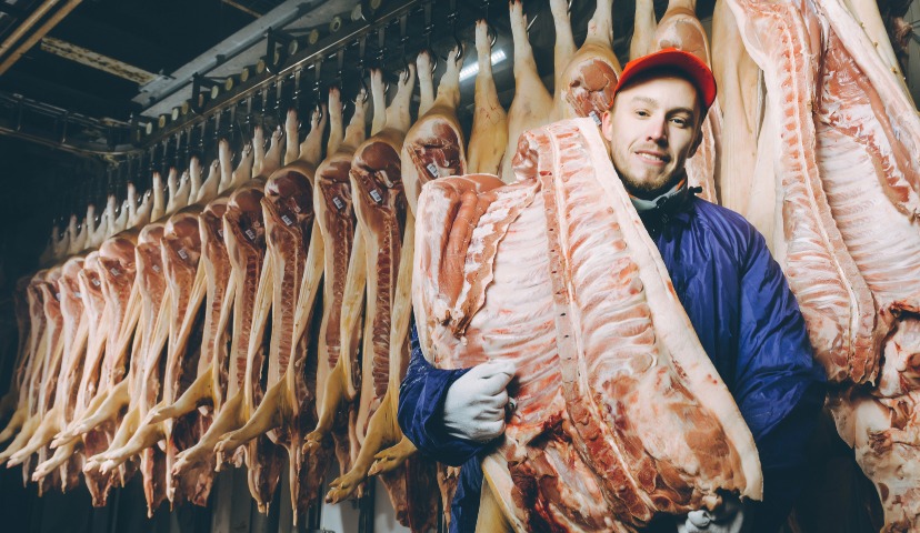 Распределительные центры мясокомбинатов: особенности проектирования