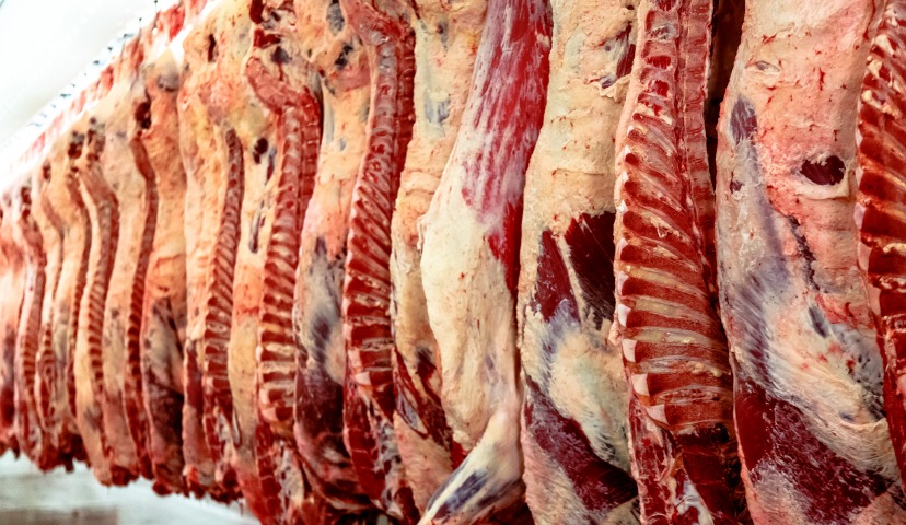 Рынок мяса КРС: положительный прирост впервые за 8 лет