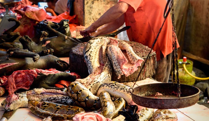 Индонезия: продовольственная политика и возможности для инвестиций