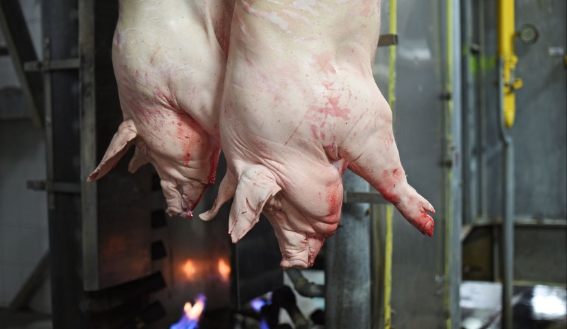 Убойный цех: взгляд извне