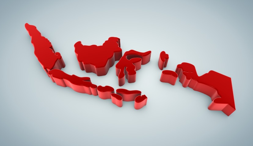 Индонезия: рынок мяса