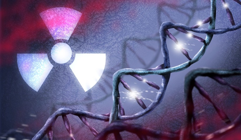 Антимикробная обработка мясных продуктов ускоренными электронами: применение технологии в России