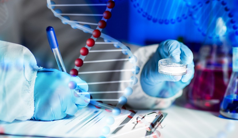 Антимикробная обработка мясных продуктов ускоренными электронами: вопросы безопасности