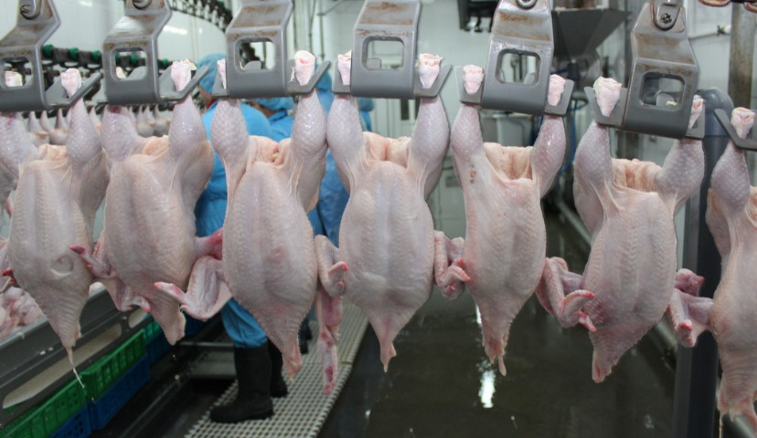 Обзор новостей и событий мясопереработки и животноводства за 12-ю неделю (18 – 22 марта 2019 г.)