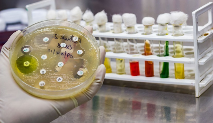 Животноводство без антибиотиков: утопия или реальность?