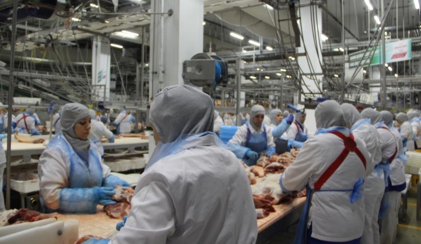 Обзор новостей и событий мясопереработки и животноводства за 21-ю неделю (20 – 24 мая 2019 г.)