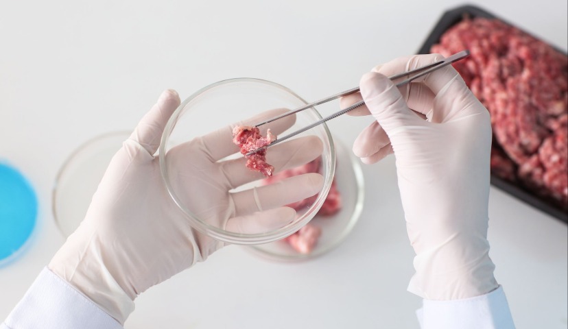 Проблемные аспекты технического регулирования