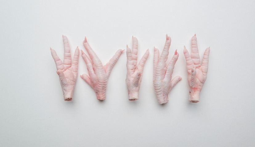 Обзор новостей и событий мясопереработки и животноводства за 26-ю неделю (24 – 28 июня 2019 г.)