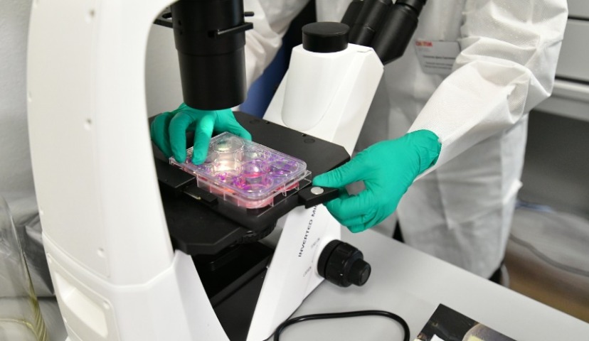 Обзор новостей и событий мясопереработки и животноводства за 39-ю неделю (23 – 27 сентября 2019 г.)