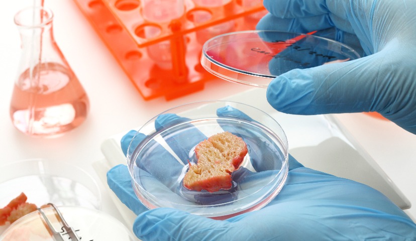 Искусственное или настоящее? Что есть мясо в 2020?