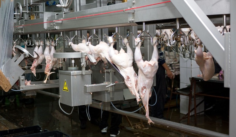 Повышение эффективности использования антибактериальных жидкостей и спреев