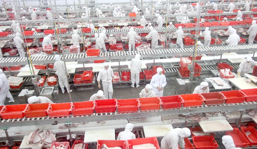 Год Свиньи: трансформация мясного рынка. Обзор событий 2019 года. Часть первая.