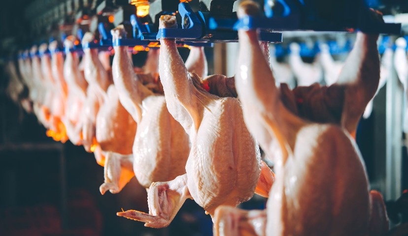 Год Свиньи: взлеты и падения.  Обзор событий 2019 года. Часть третья