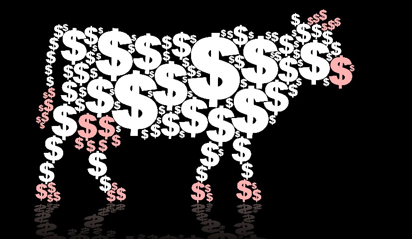 О ситуации на рынке мяса при пандемии коронавируса