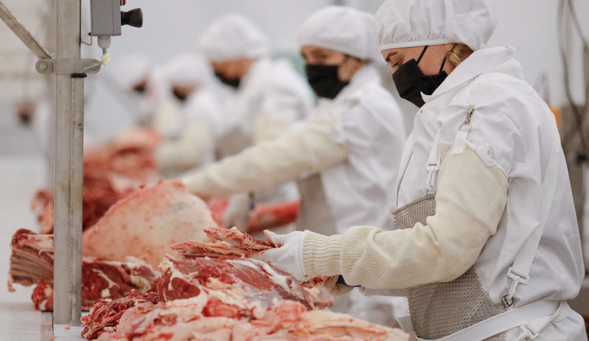 Обзор новостей и событий мясопереработки и животноводства за 32-ю неделю (3 – 7 августа 2020 г.)