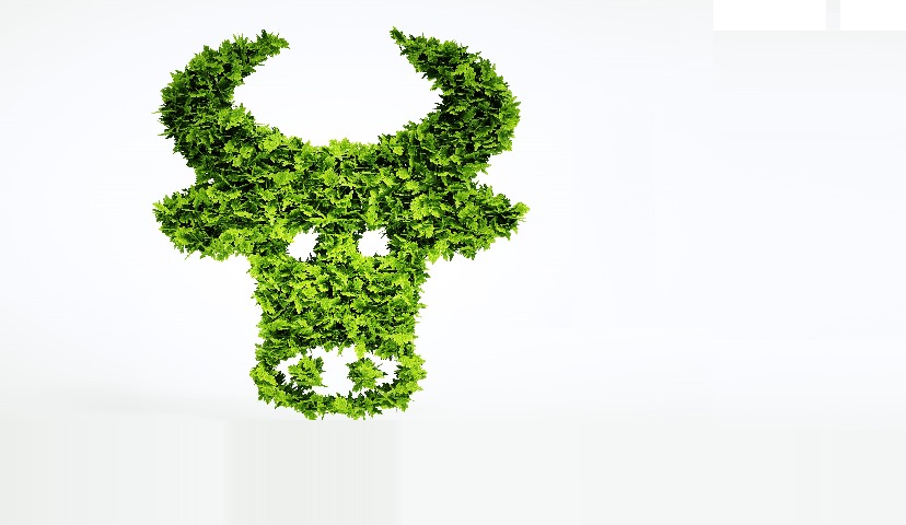 Растительное мясо в России: что необходимо для создания местного Beyond Meat?