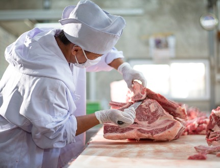 Обзор новостей и событий мясопереработки и животноводства за 46-ю неделю (16-20 ноября 2020 г.)