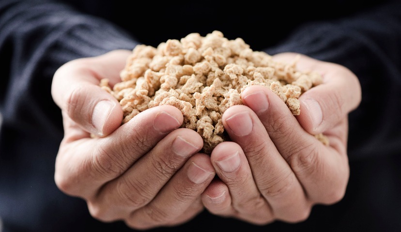 Альтернативные белки созрели для сбора