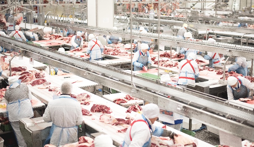 Обзор новостей и событий мясопереработки и животноводства за 42-ю неделю (18-22 октября 2021 г.)