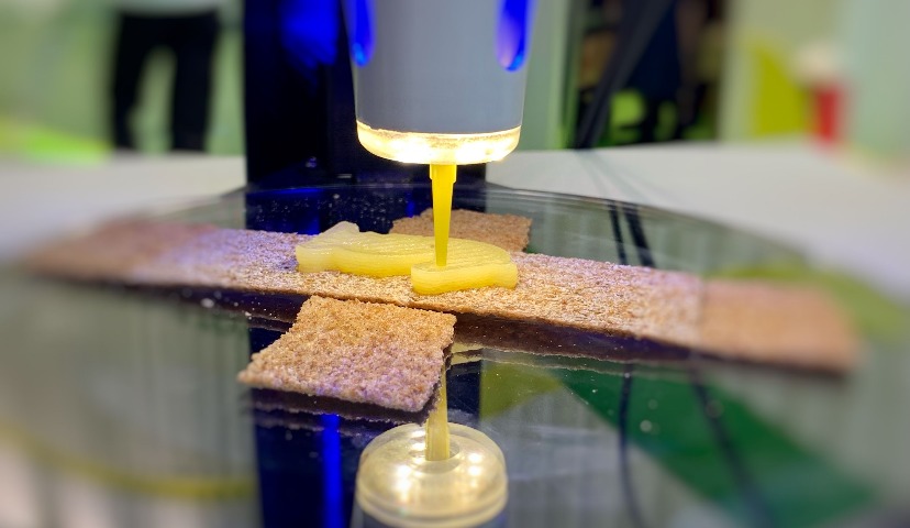 Проекция нового будущего