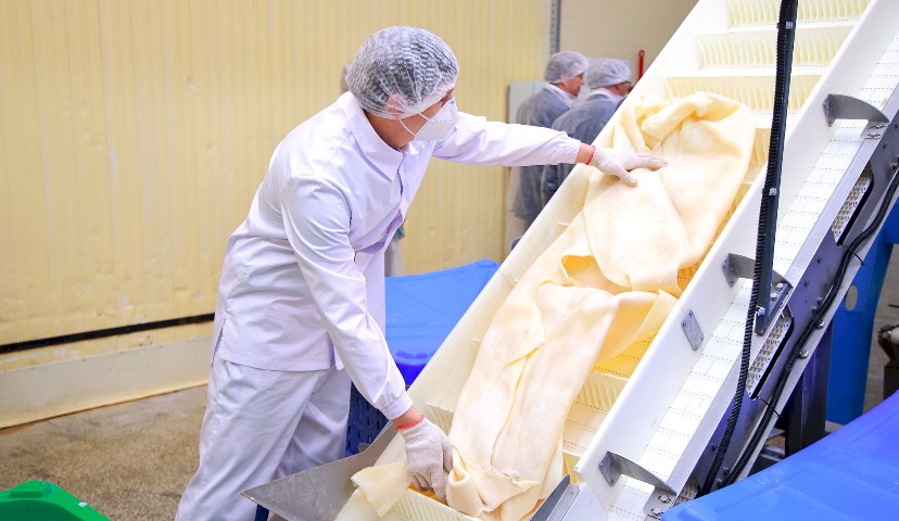 Животный белок – дело тонкое