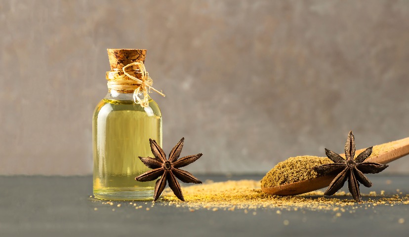 Глубокая переработка растительного сырья – наше технологическое будущее