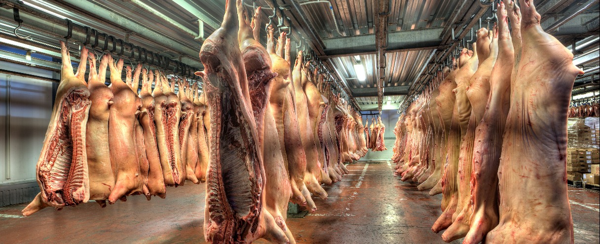 Как оптимизация может помочь мясоперерабатывающему производству в кризис