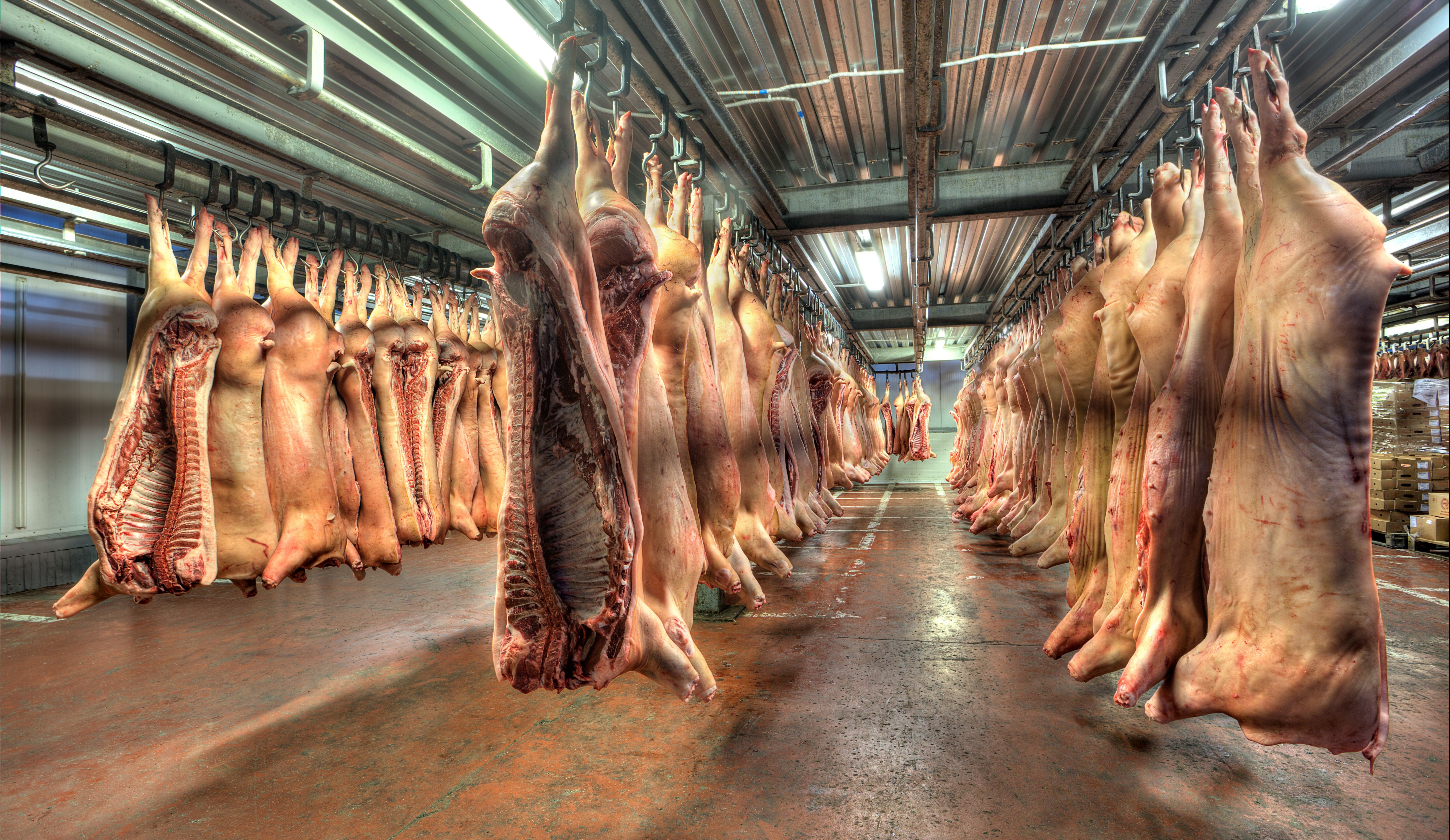 Как оптимизация может помочь мясоперерабатывающему производству в кризис