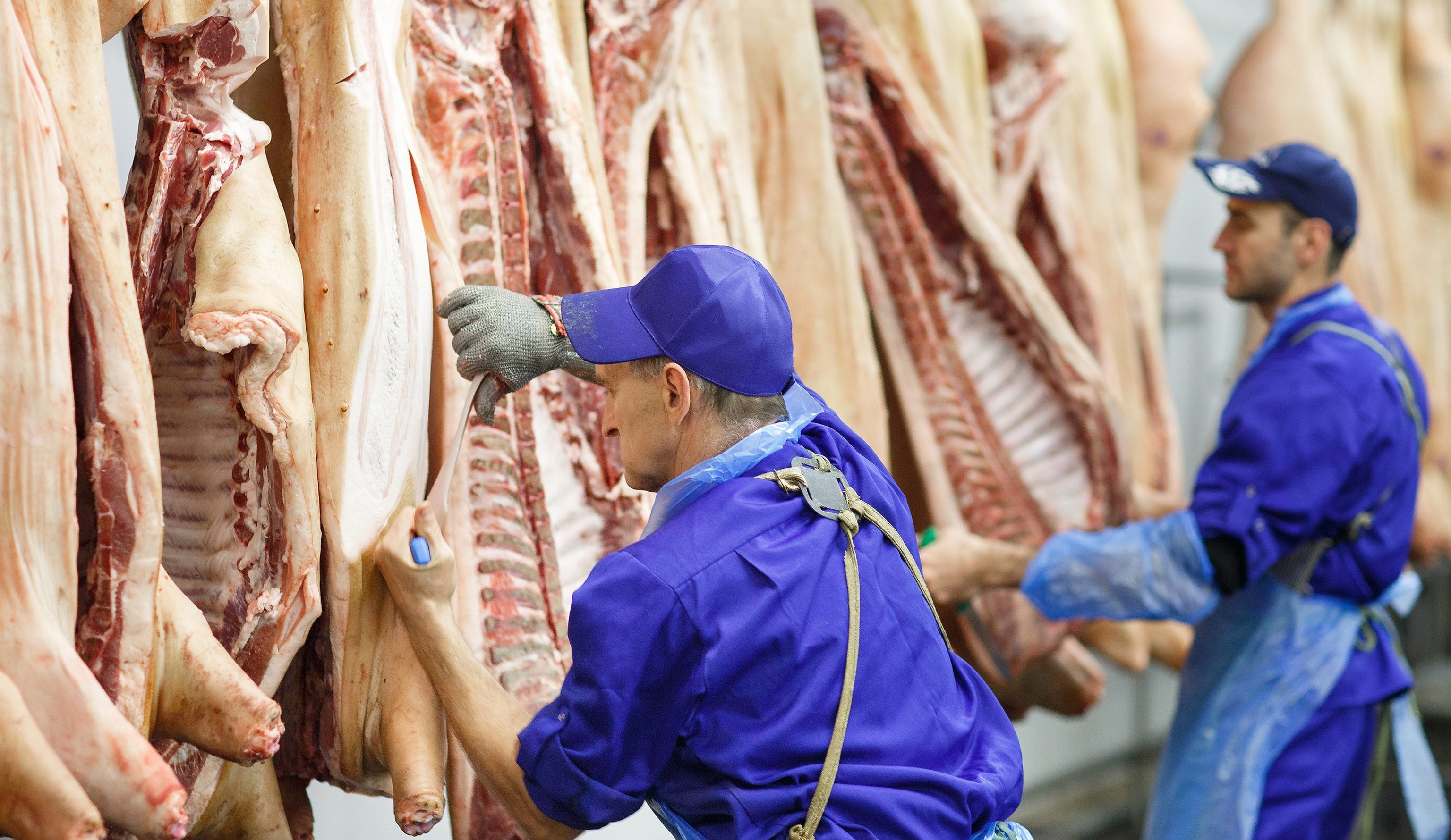 Обзор новостей и событий мясопереработки и животноводства за 41-ю неделю (10-14 октября 2022 г.)