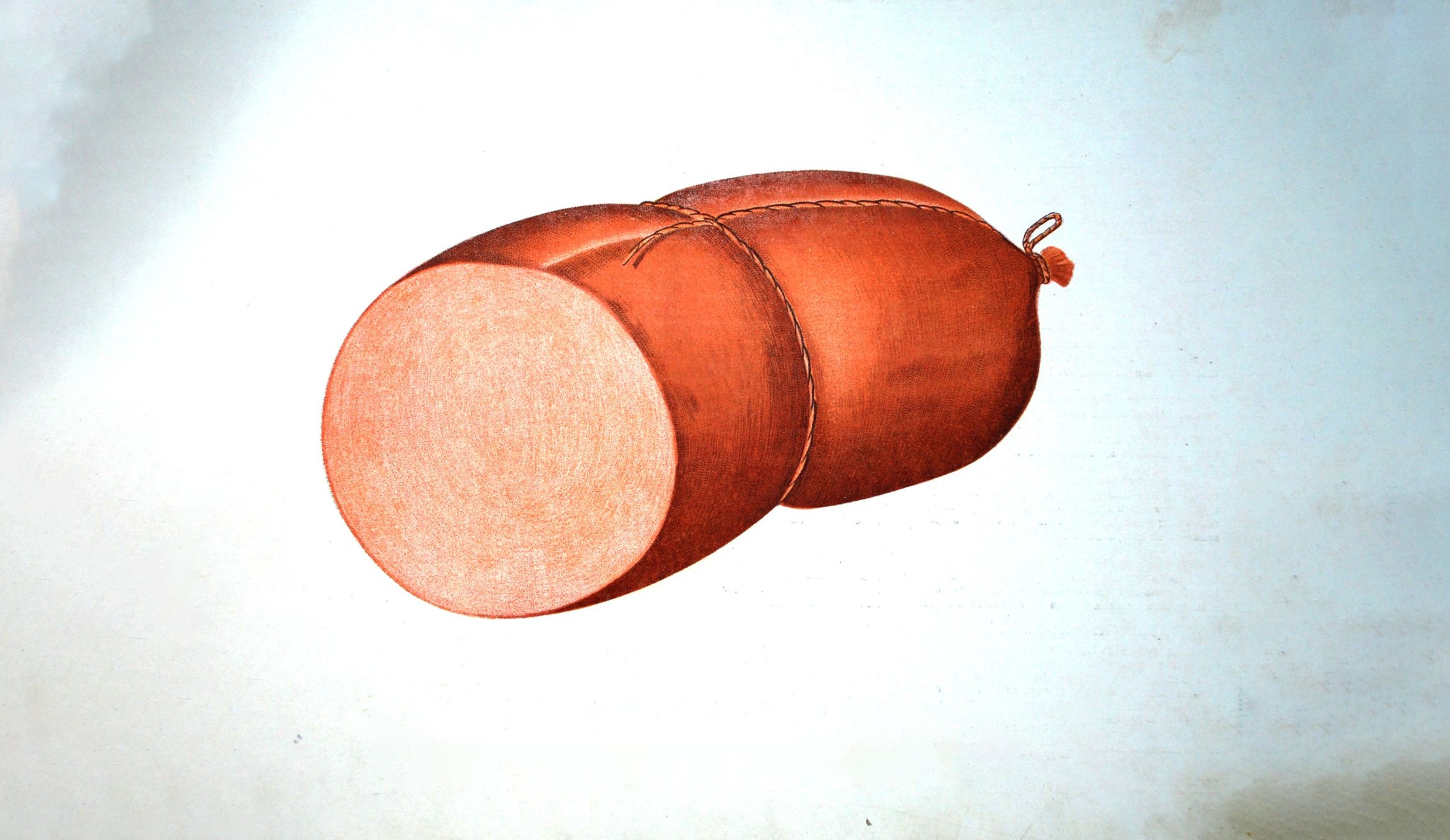 Настоящая история докторской колбасы. Историческое расследование