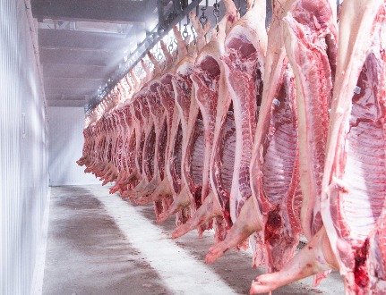 Обзор новостей и событий мясопереработки и животноводства за 51-ю неделю (19-23 декабря 2022 г.)