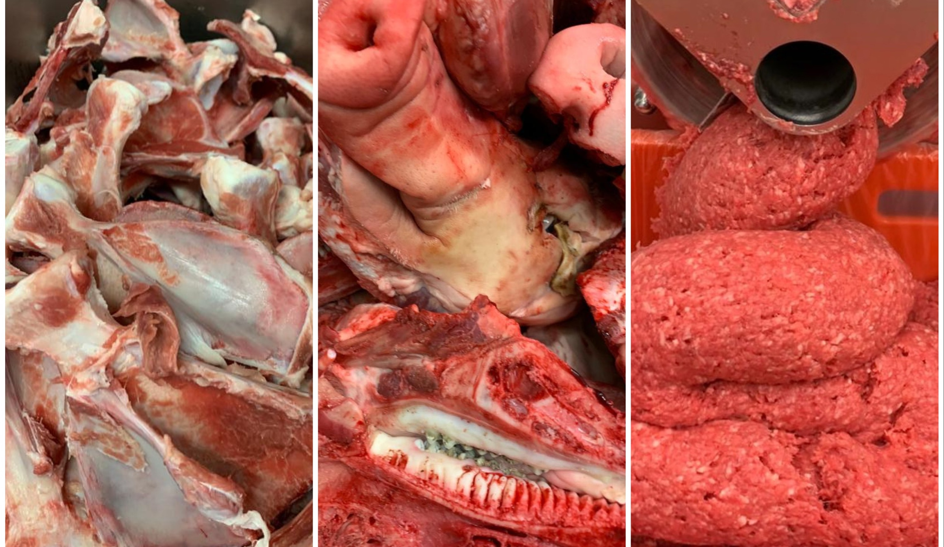 Новое в переработке кости как средство оптимизации обвалки и уменьшения себестоимости продукции