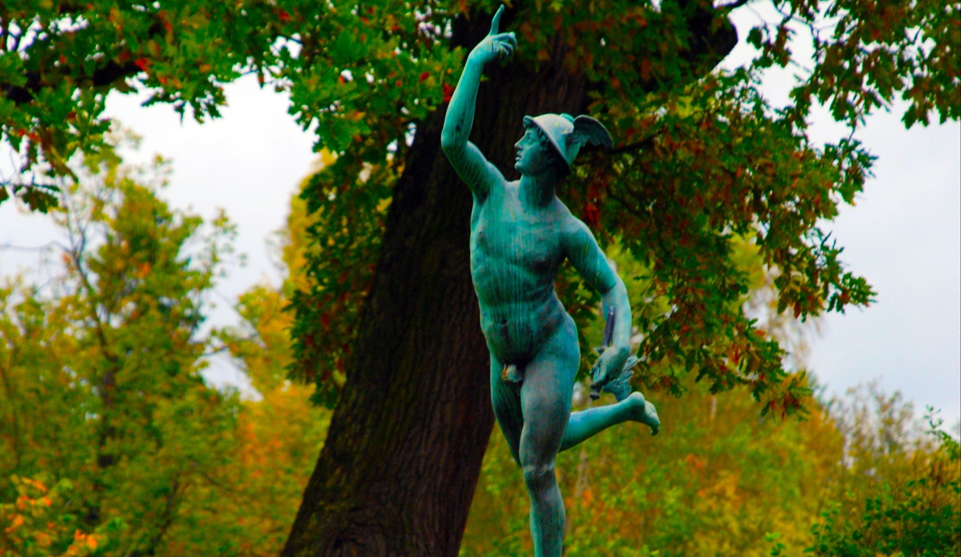 Новые правила работы с ФГИС «Меркурий» – приказ Минсельхоза в кратком изложении и комментарии эксперта