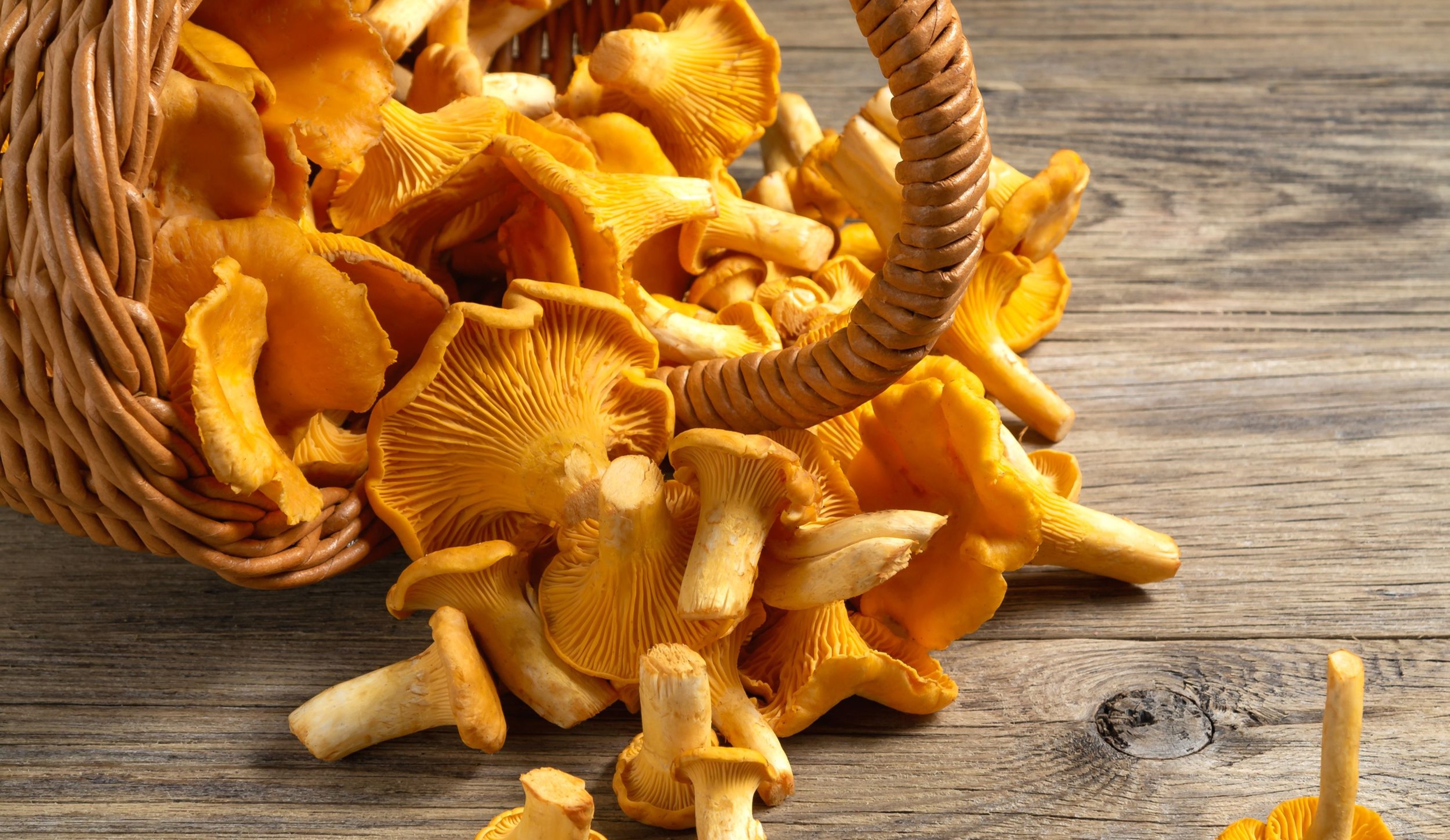 Изысканно, натурально, вкусно! Новые вкусы для сырокопченых и сыровяленых колбас.