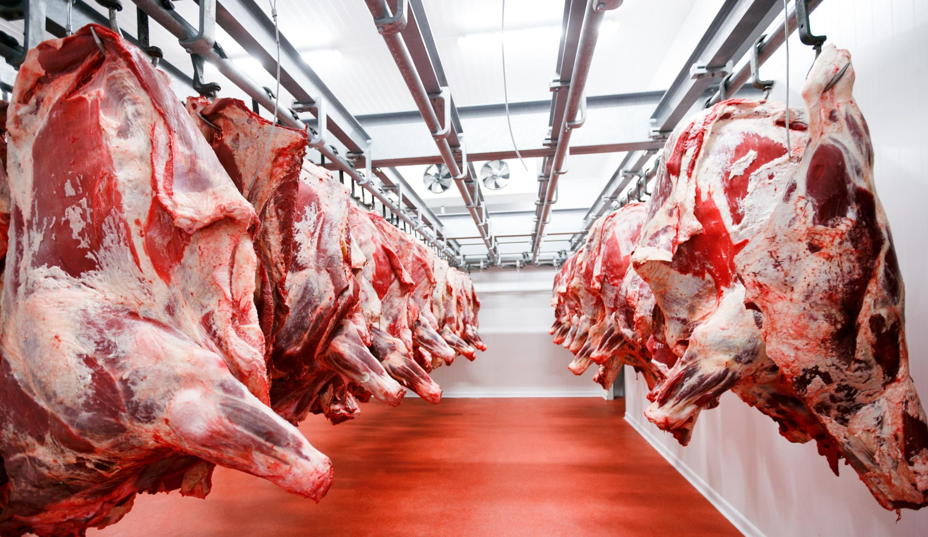 Обзор новостей и событий мясопереработки и животноводства за 32-ю неделю (7-11 августа 2023 г.)