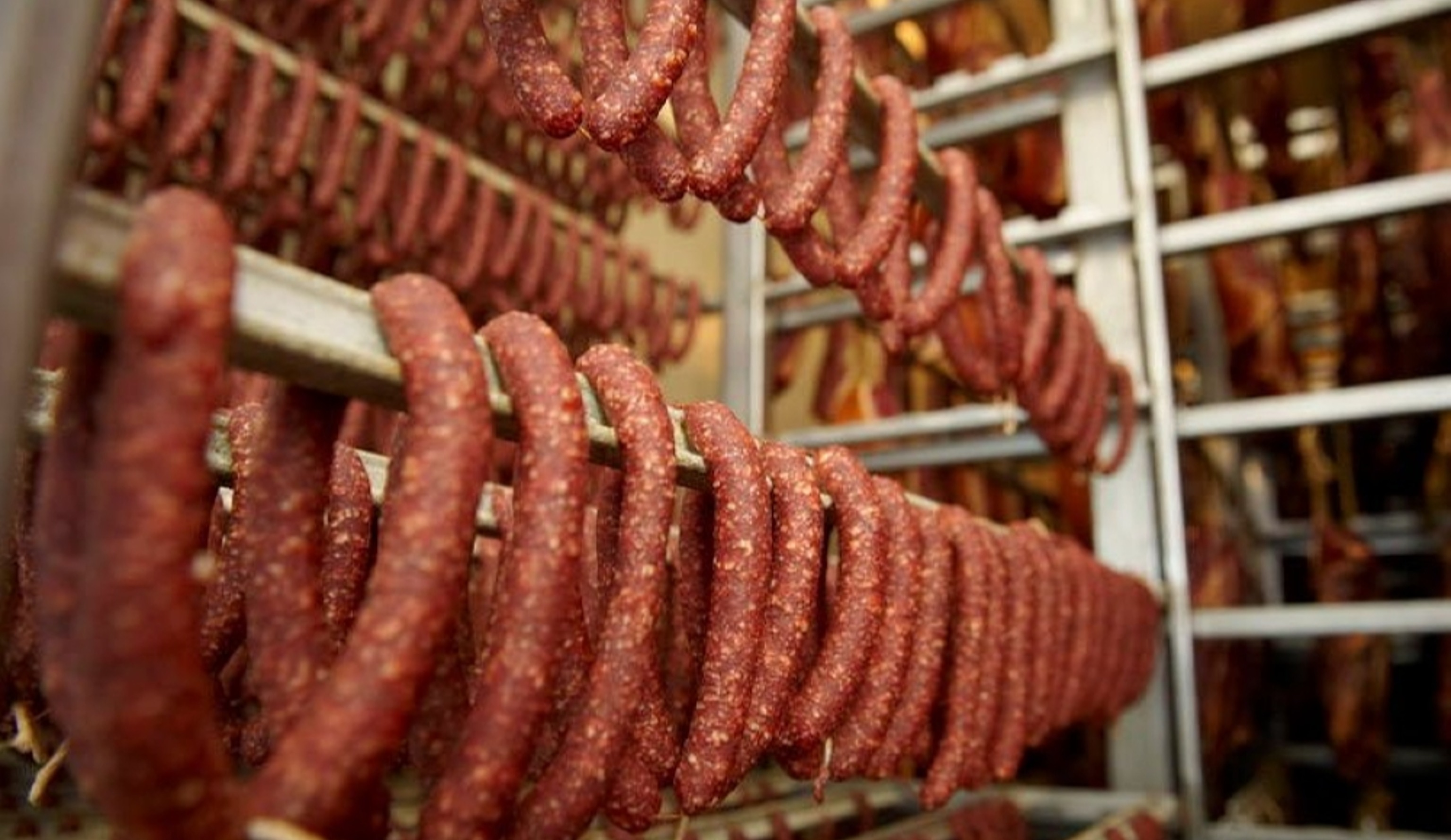 Обзор новостей и событий мясопереработки и животноводства за 36-ю неделю (4–8 сентября 2023 г.)