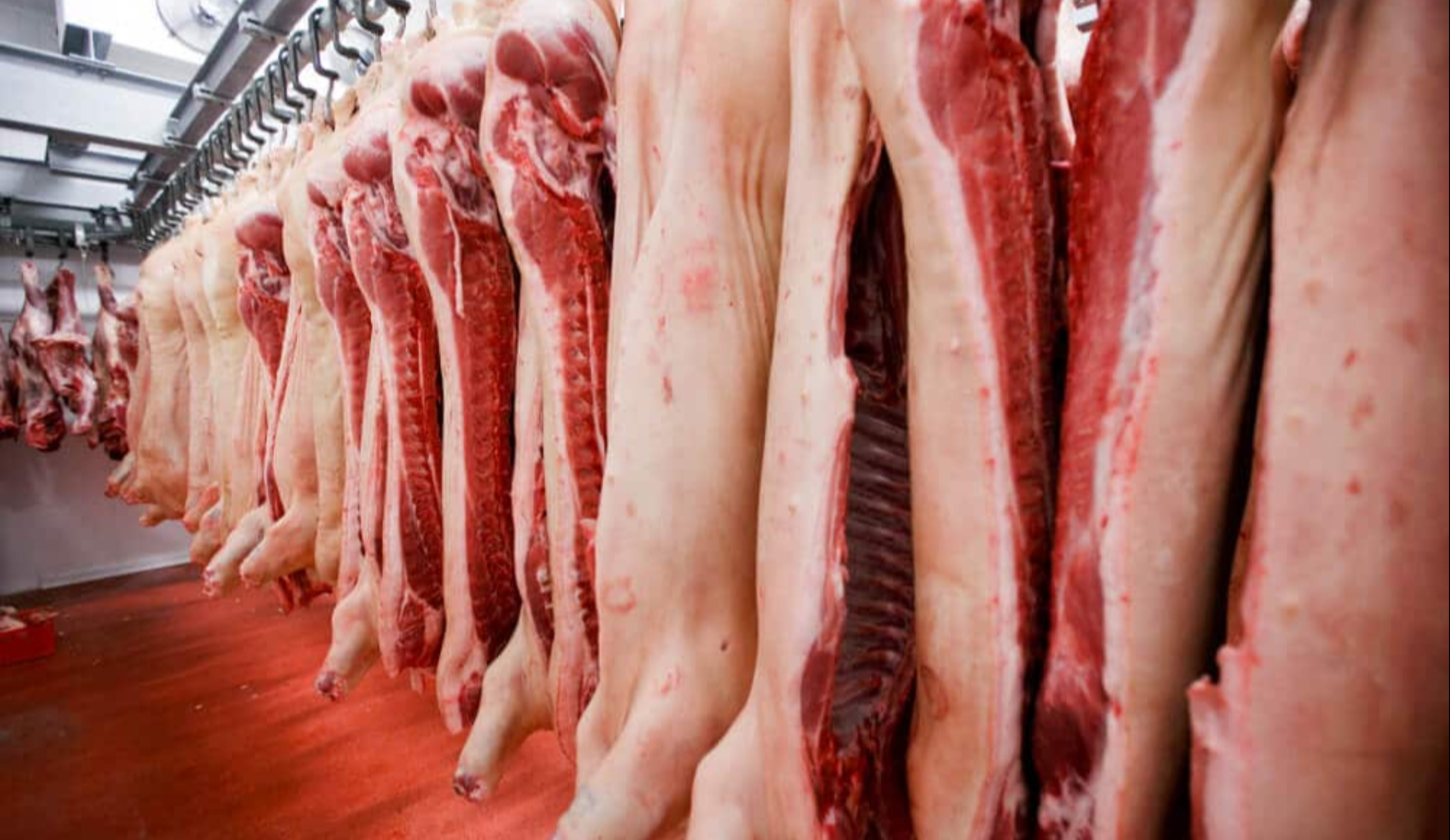 Обзор новостей и событий мясопереработки и животноводства за 37-ю неделю (11–15 сентября 2023 г.)