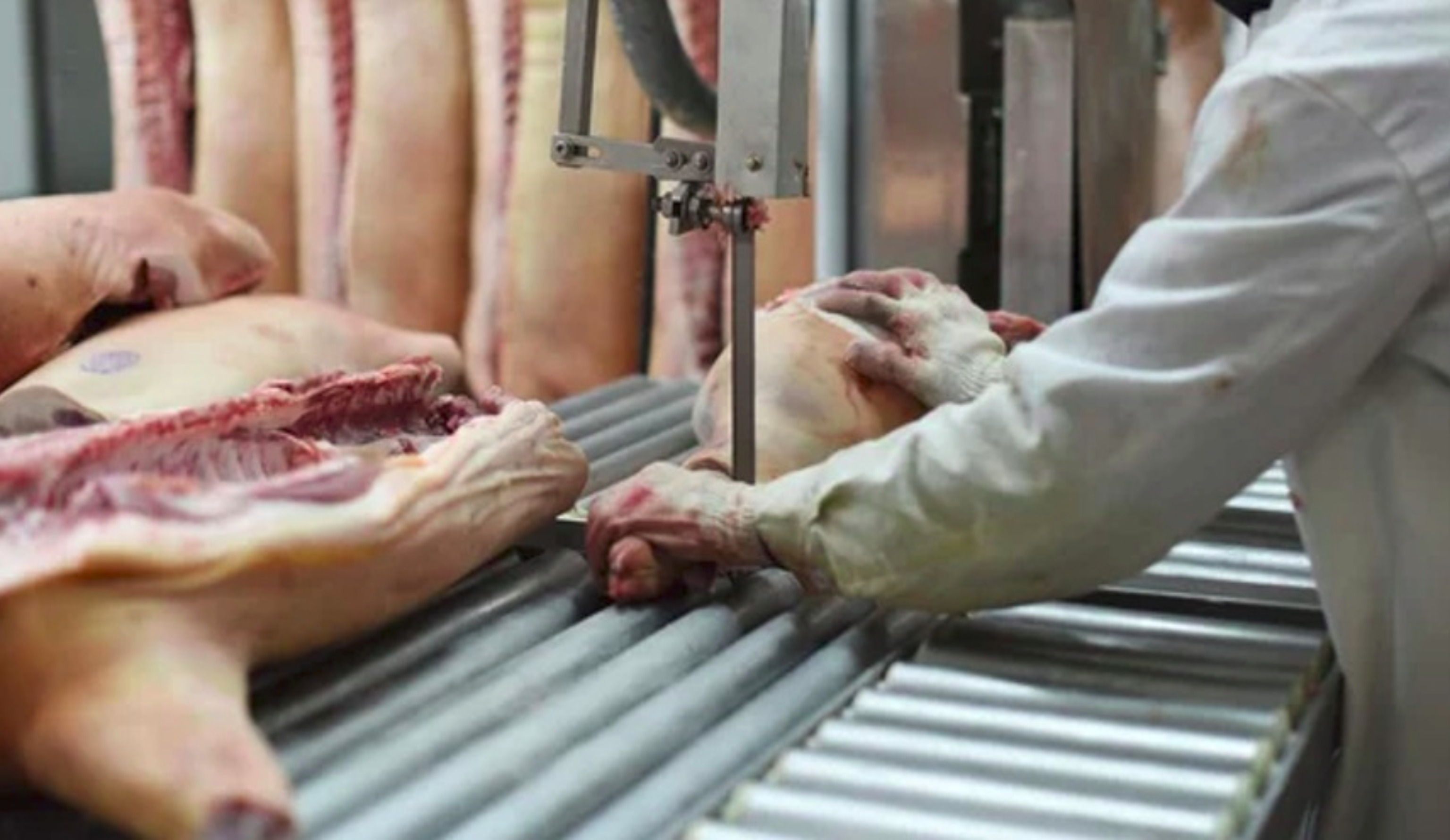 Обзор новостей и событий мясопереработки и животноводства за 42-ю неделю (16–22 октября 2023 г.)