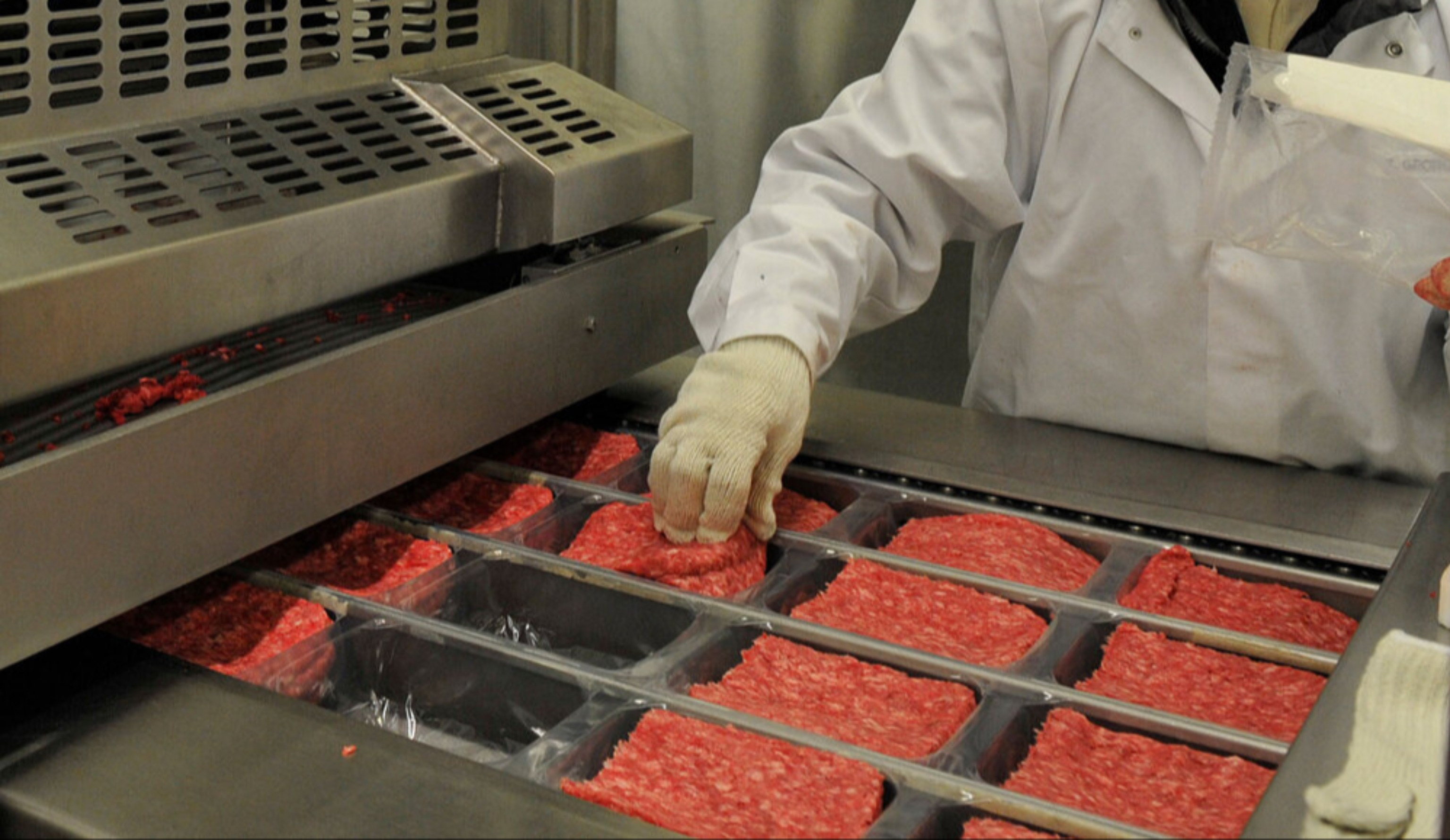 Обзор новостей и событий мясопереработки и животноводства за 44-ю неделю (30 октября – 5 ноября 2023 г.)