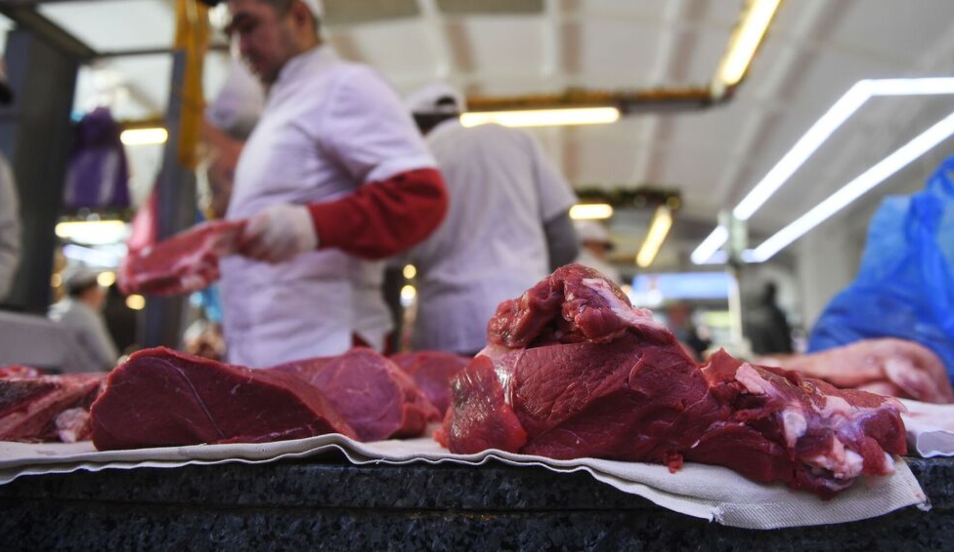 Обзор новостей и событий мясопереработки и животноводства за 46-ю неделю (13–19 ноября 2023 г.)