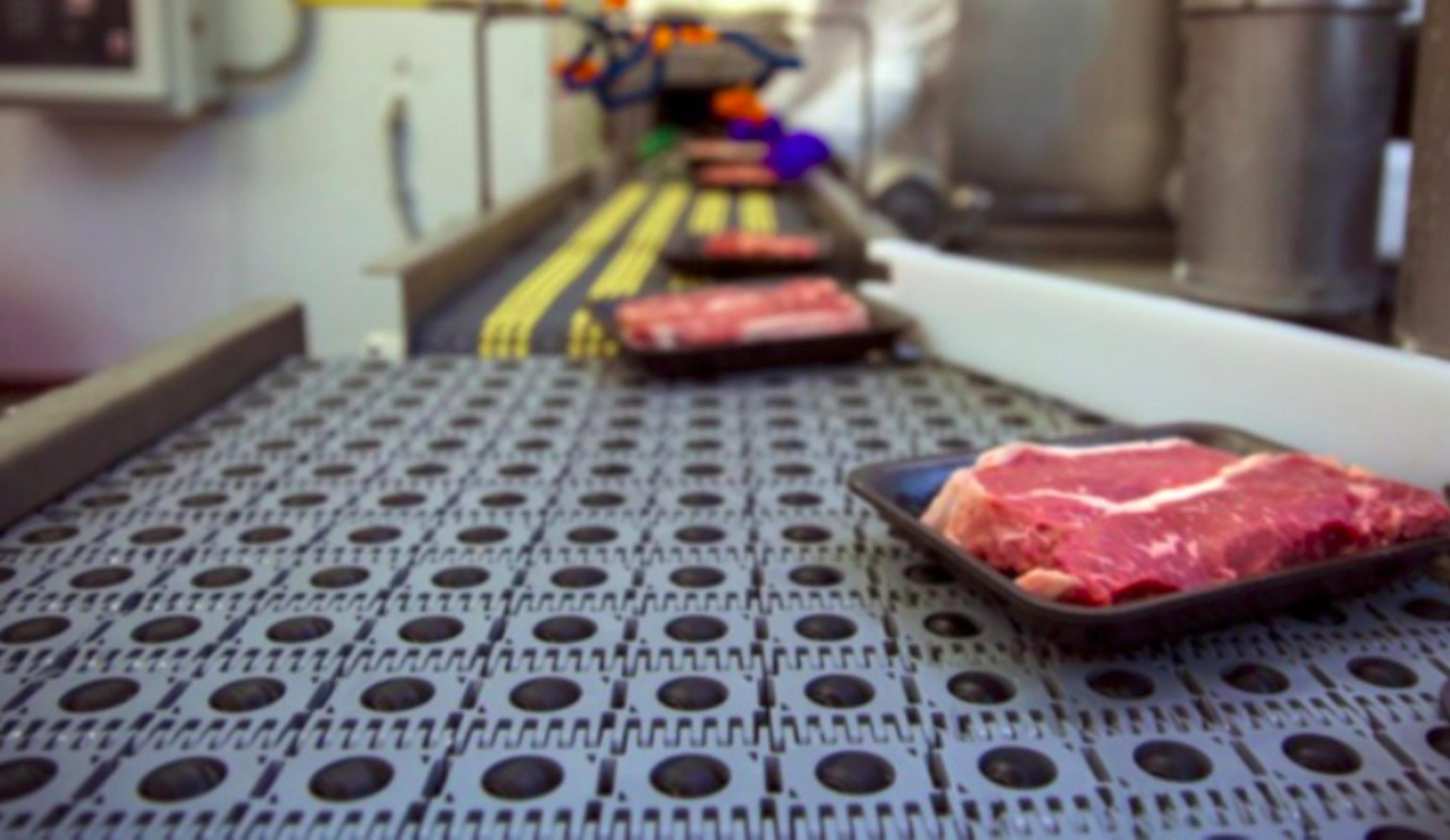 Обзор новостей и событий мясопереработки и животноводства за 47-ю неделю (20–26 ноября 2023 г.)