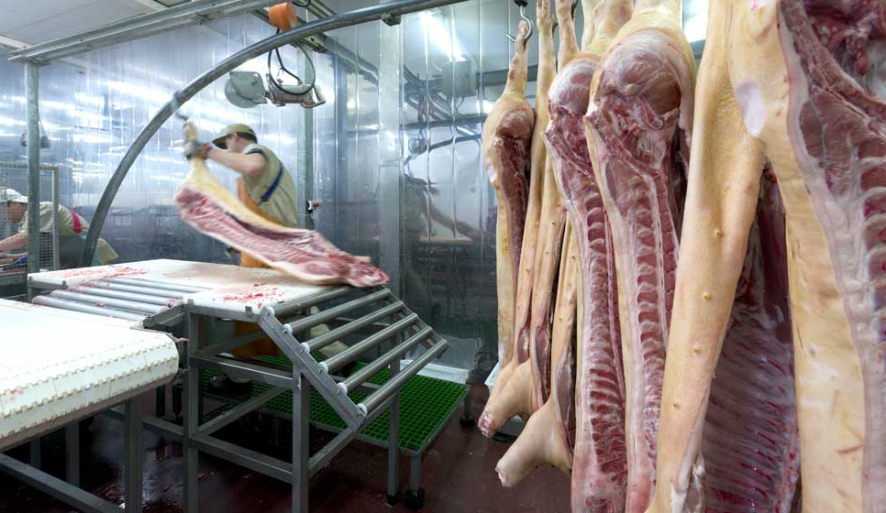 Обзор новостей и событий мясопереработки и животноводства за 49-ю неделю (4–10 декабря 2023 г.)