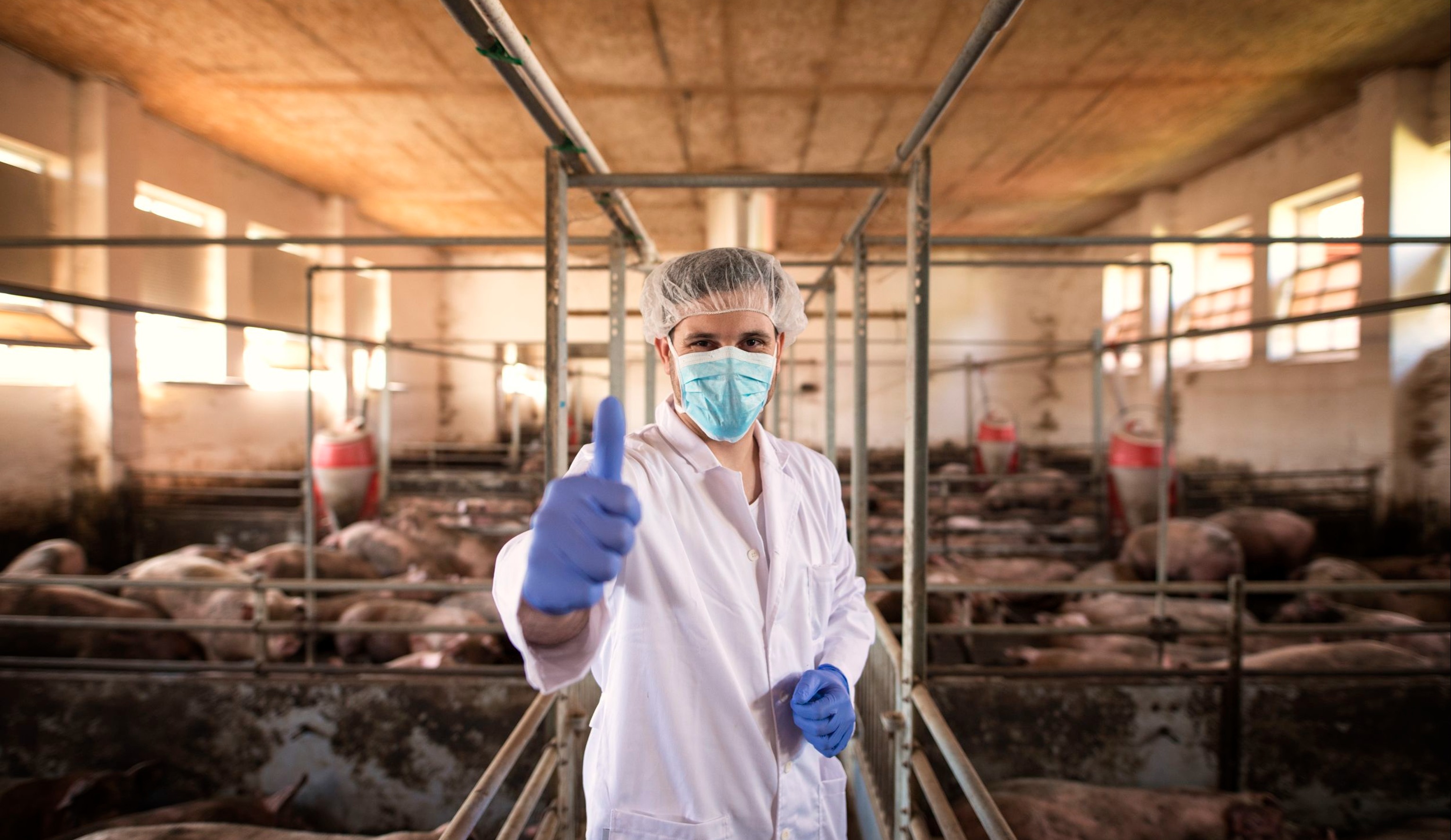 Развитие мясного рынка: с запада на восток