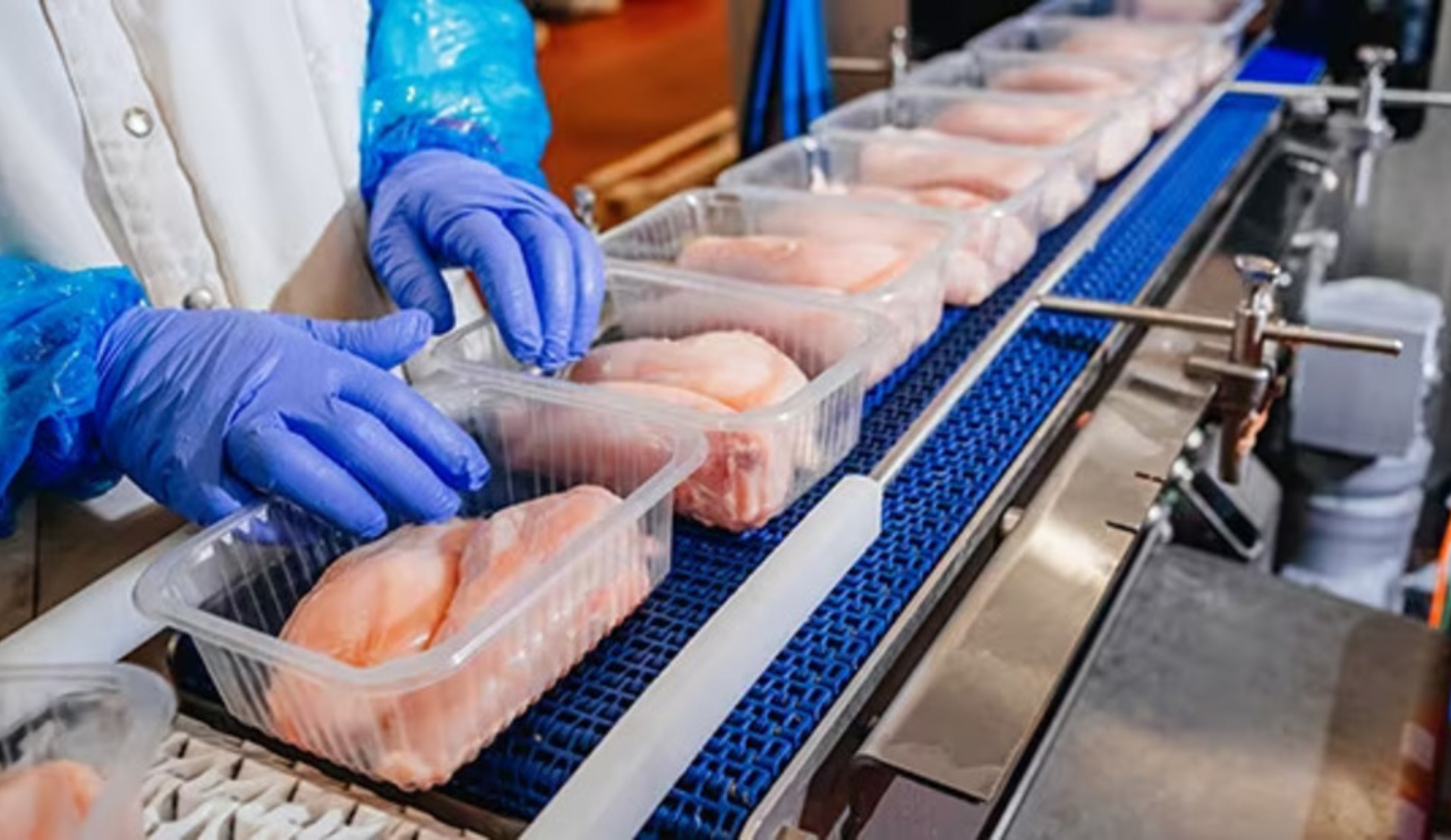 Обзор новостей и событий мясопереработки и животноводства за 4-ю неделю (22–28 января 2024 г.)