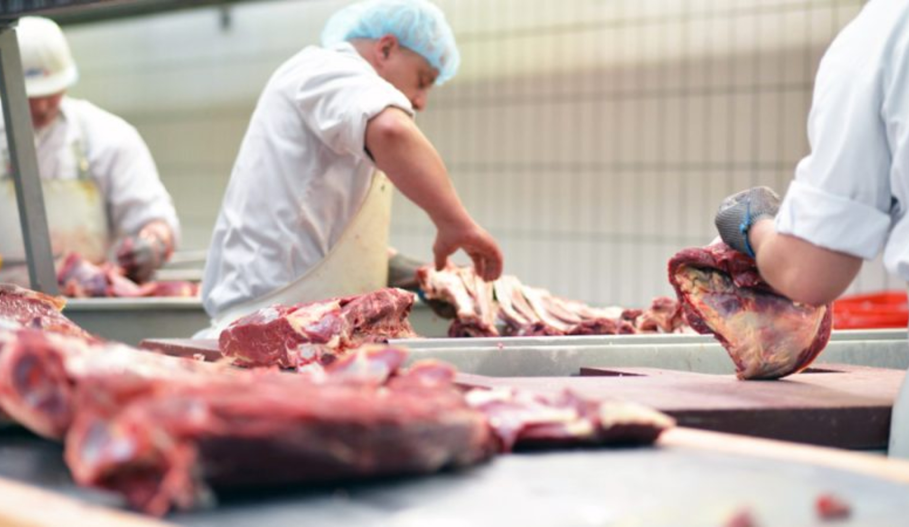 Обзор новостей и событий мясопереработки и животноводства за 7-ю неделю (12–18 февраля 2024 г.)