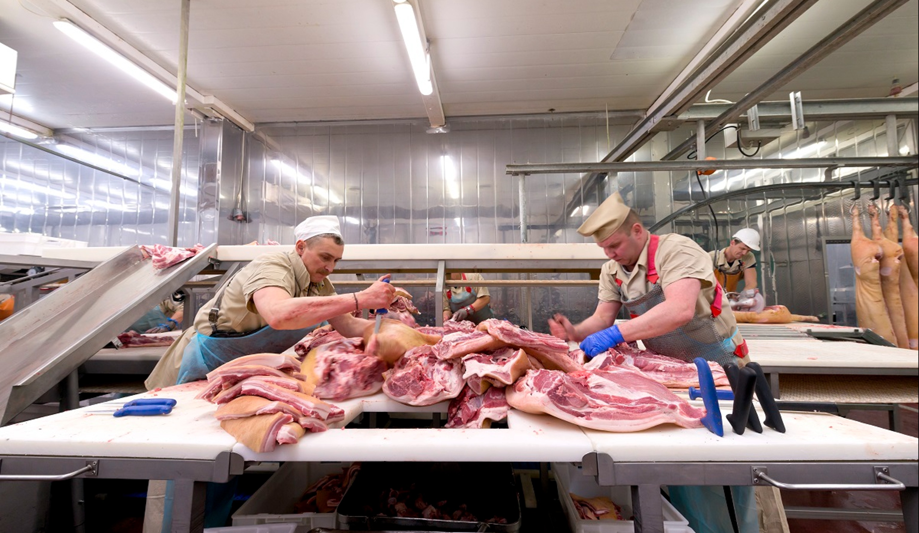 Обзор новостей и событий мясопереработки и животноводства за 10-ю неделю (4–10 марта 2024 г.)